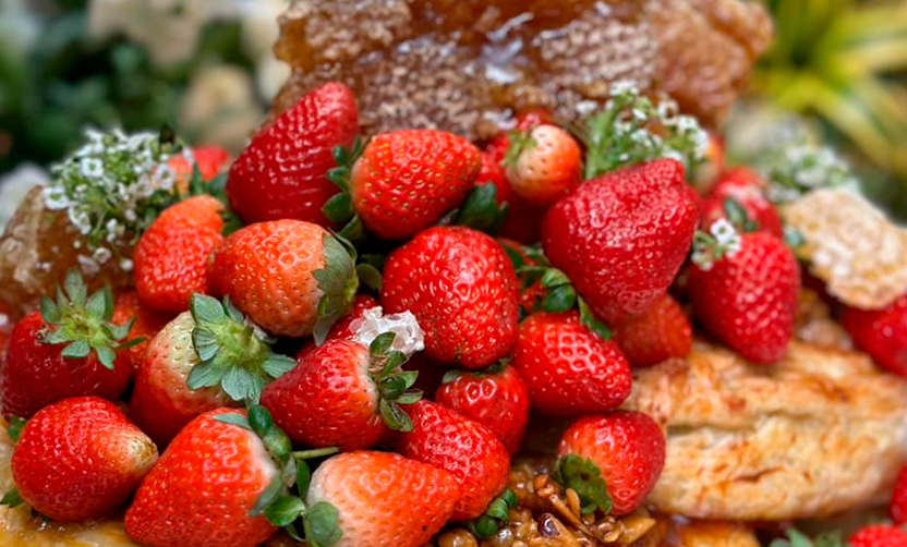 Aula Gratuita - 1º Módulo da Estação Gourmet