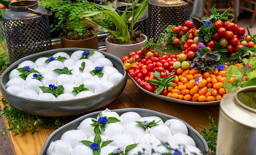 Pacote com 2 dias de cursos! - Finger Foods e Ilhas Gastronômica (1° LOTE)